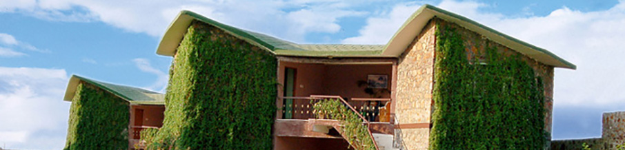 Ranthambhore Forest Resort