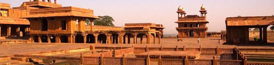 Taj with Tiger Tour