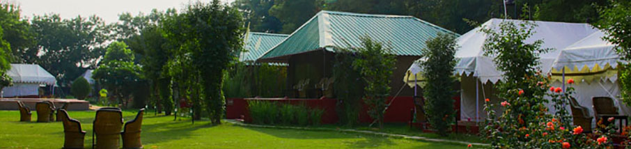 Jungle View Resort