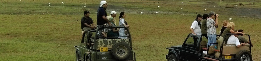 Ranthambore Special wildlife package