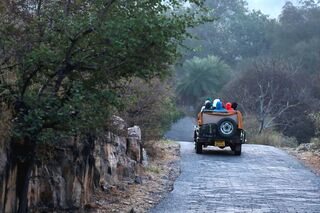 Best Zones in Ranthambore National Park