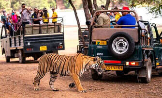 Ranthambore Travel Tips