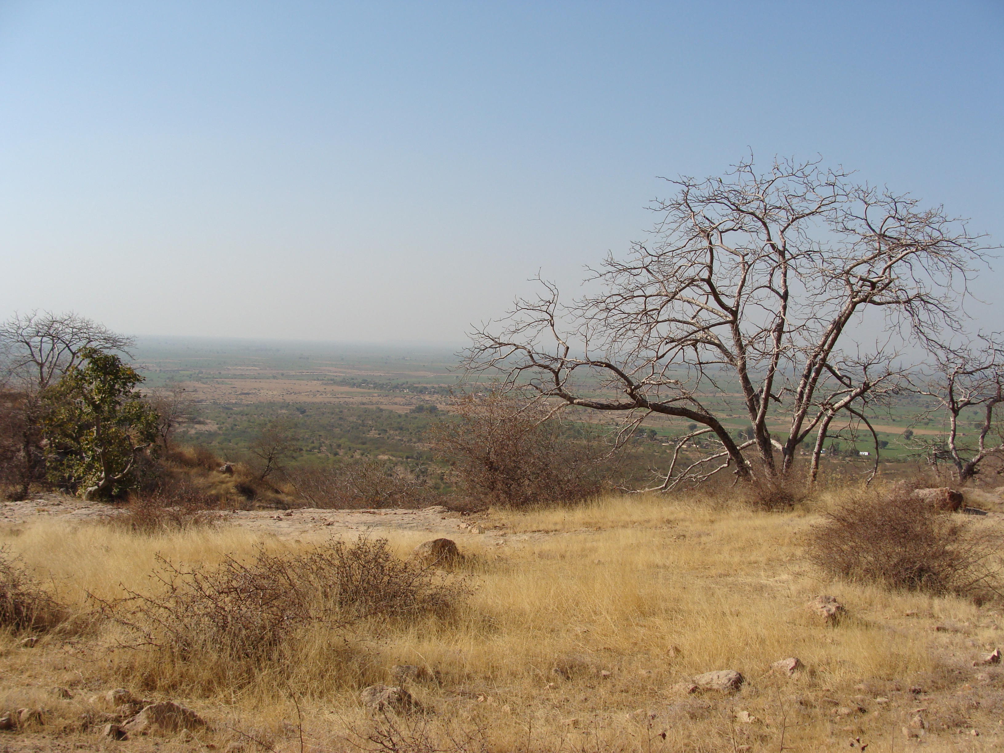 Ranthambore Flora and Fauna