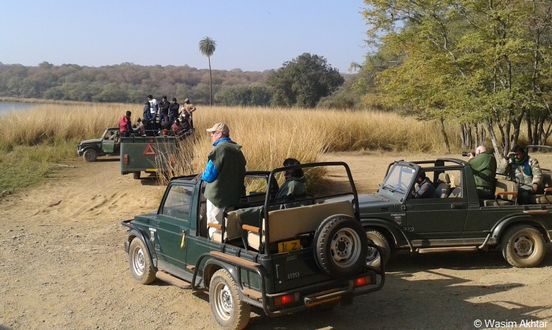 Ranthambore Safari Terms & Conditions