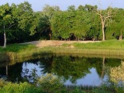 Ranthambore Golden Triangle Tour