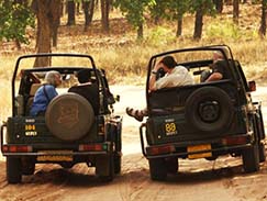 Ranthambore Odyssey Tour