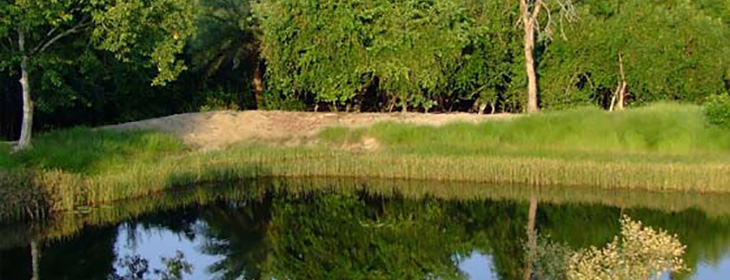 Ranthambore Tour Packages 6 Nights 7 Days
