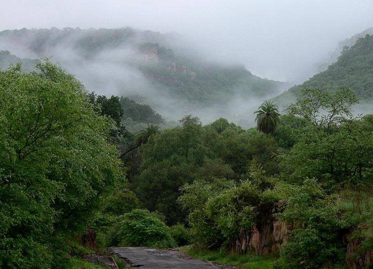 ranthambore-in-monsson