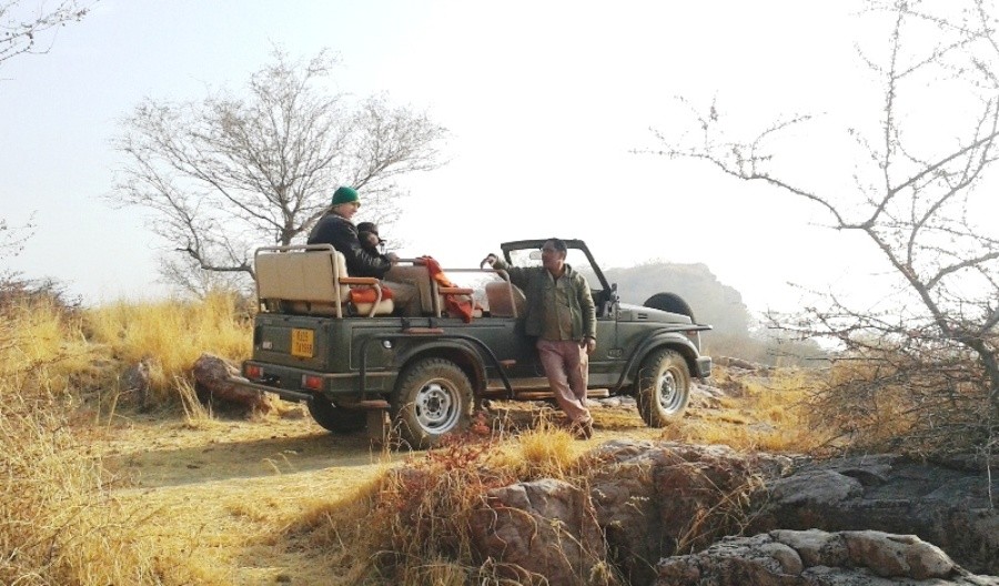 Full-Day-Jungle-Safari-in-Ranthambore-National-Park