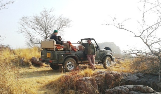 Full Day Jungle Safari in Ranthambore National Park
