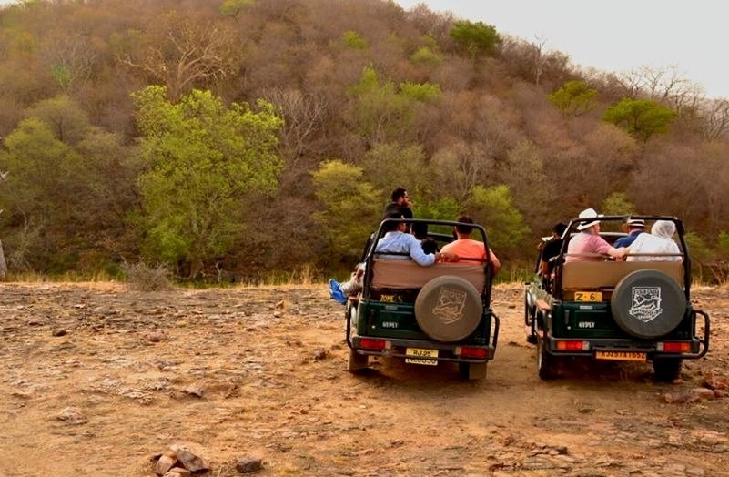 5-reason-to-visit-rathambore