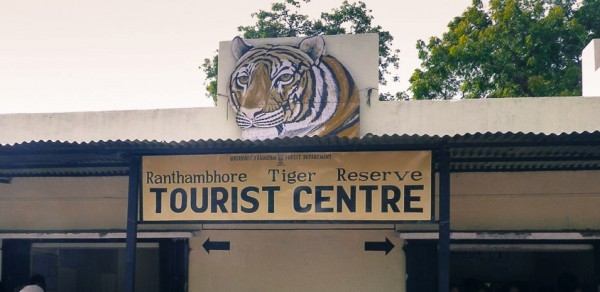 Important information about Ranthambore Jungle Safari Booking Tips