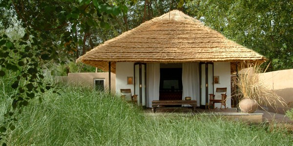 Information on the best hotels and wildlife resorts in Ranthambore National Park.
