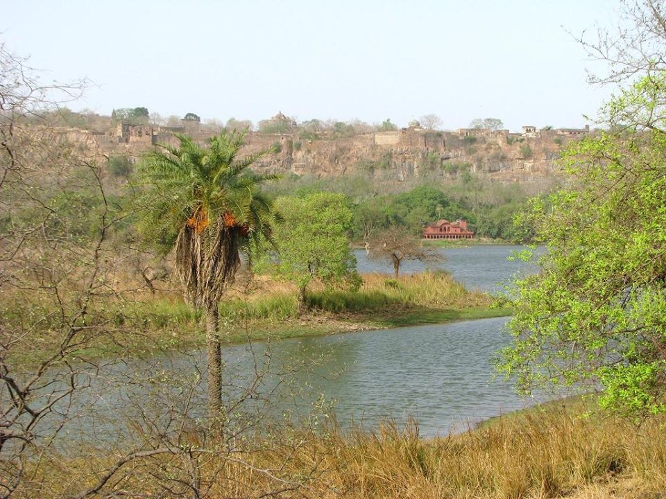 Padam Lake and Jogi Mahal Ranthambore