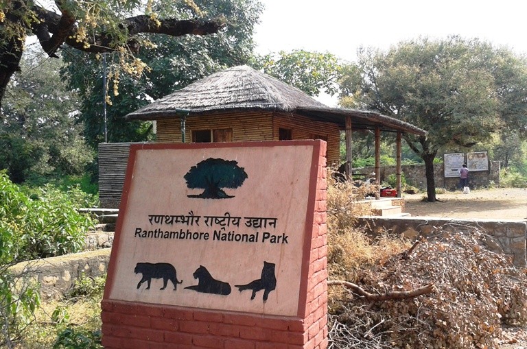 Ranthambore National Park 