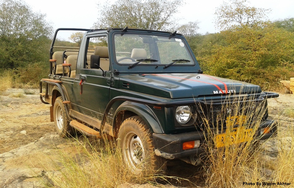 Ranthambore National Park Jeep safari 