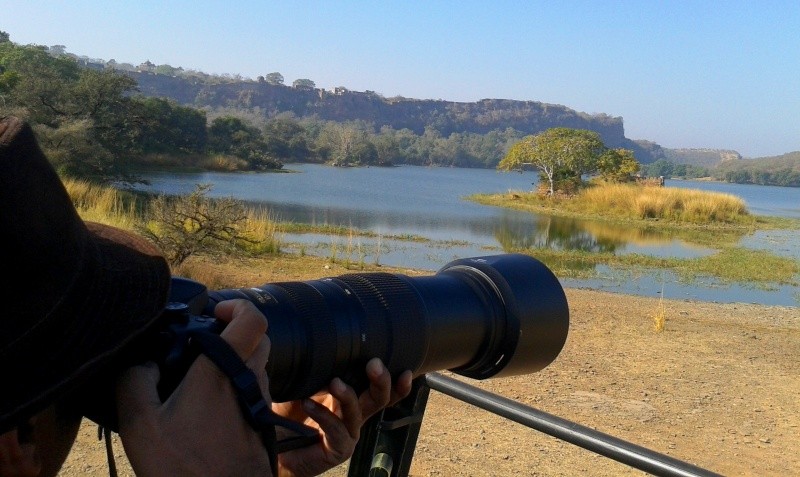 Ranthambore Wildlife Photography Tour 
