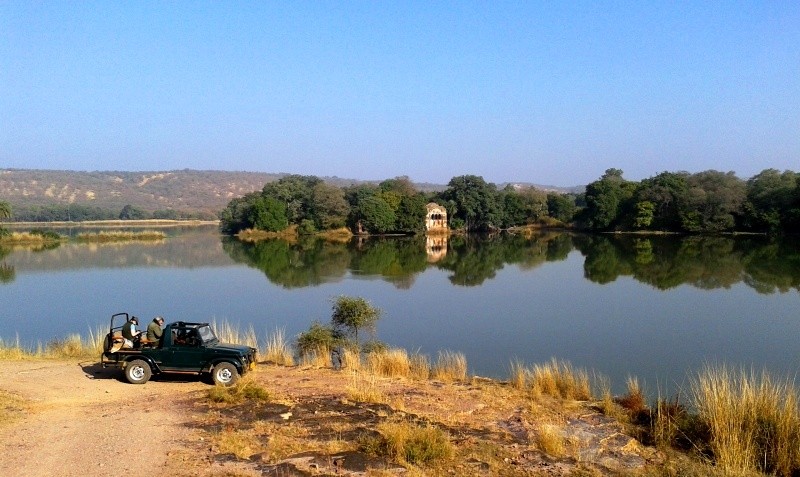 Jeep safari in ranthambore National Park 