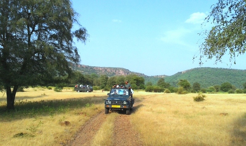 Jungle-safari-in-Ranthambore-National-Park