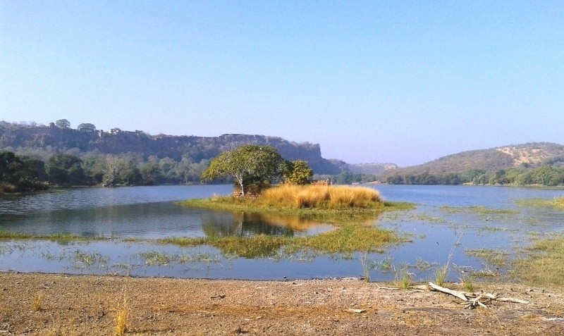 View of the Ranthambore Nationa Park 