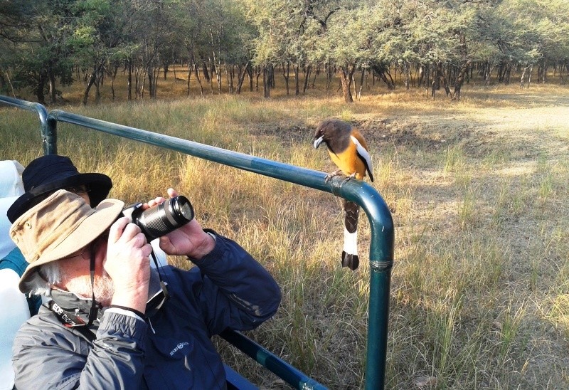 Wildlife Photography in Ranthambhore 