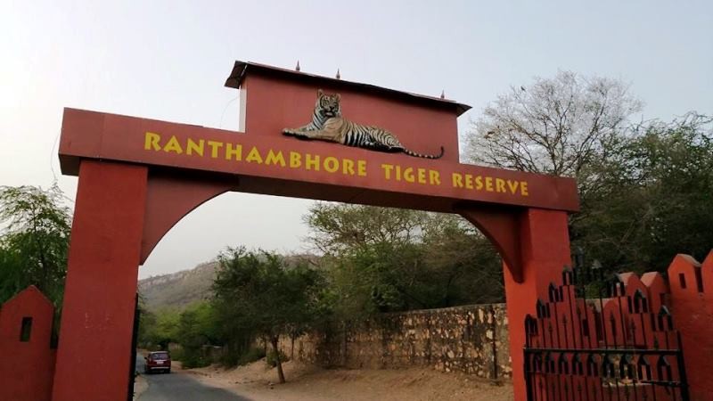 RanthamborNational-Park