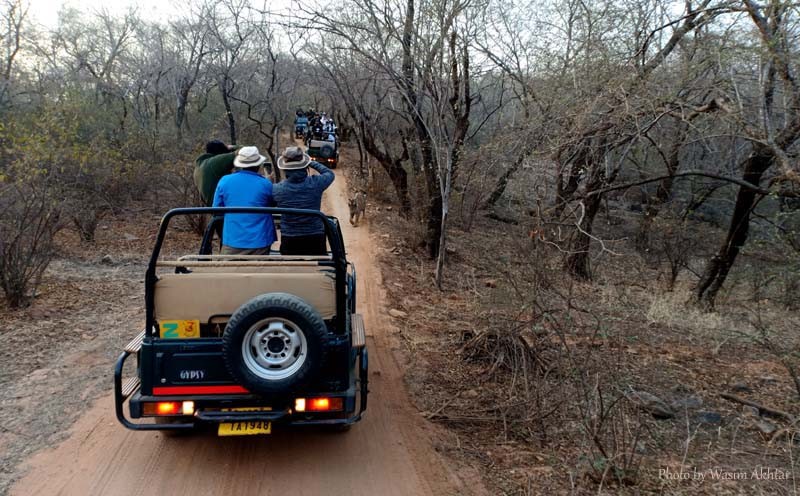 Ranthambore-Safari-Zone