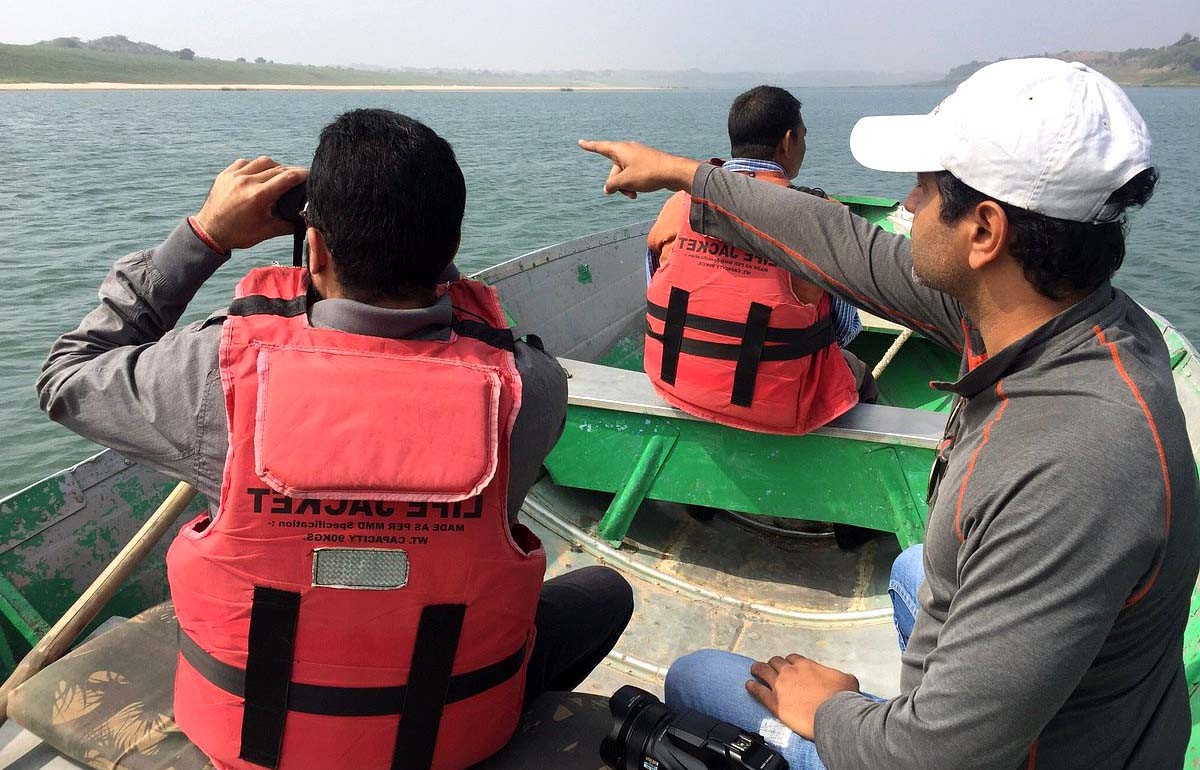 Chambar-River-Safari-Ranthambore