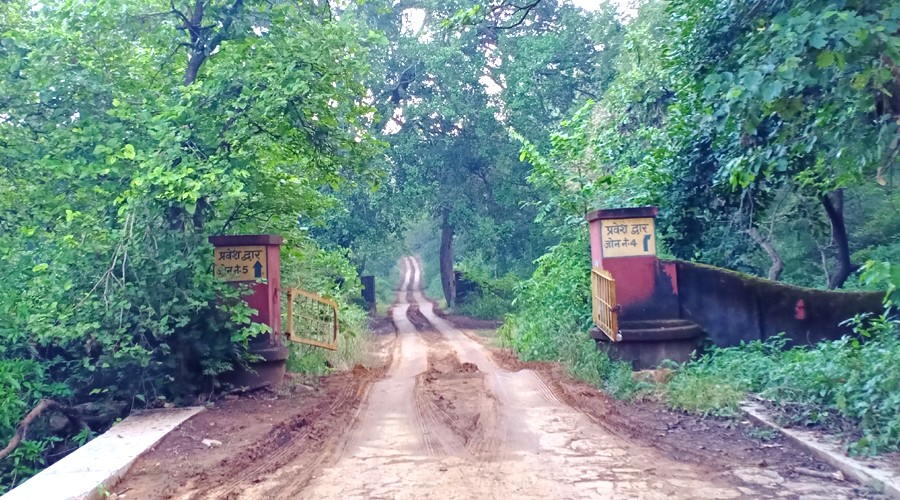 Ranthambore-Safari-Zone