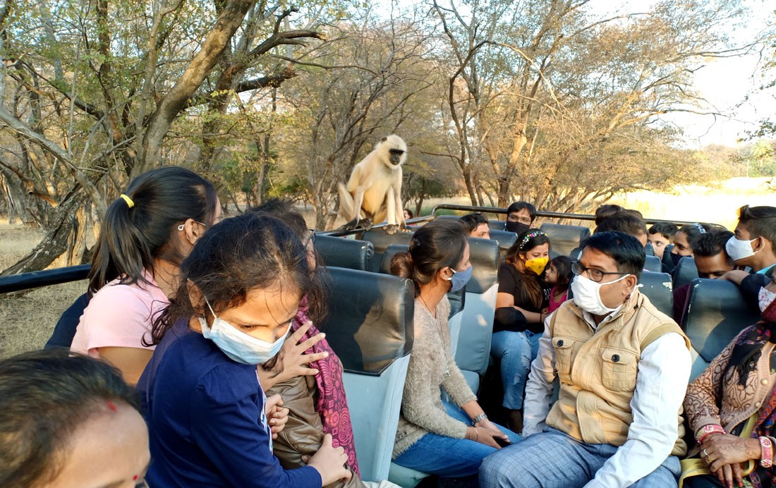 Best time to visit Ranthambore