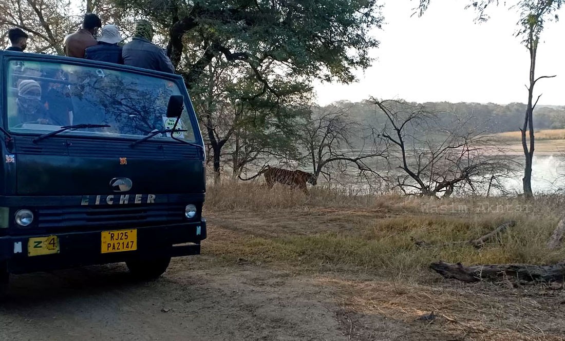 Ranthambore Canter Safari