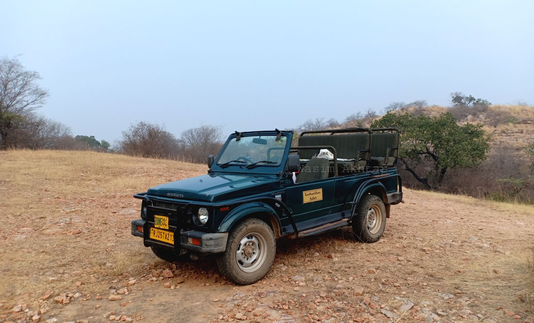 Ranthambore Jeep Safari