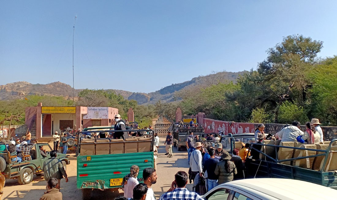 Ranthambore Safari Gate