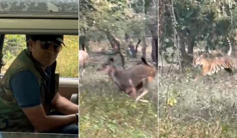 Sachin Tendulkar saw a tiger chasing a deer in Ranthambore