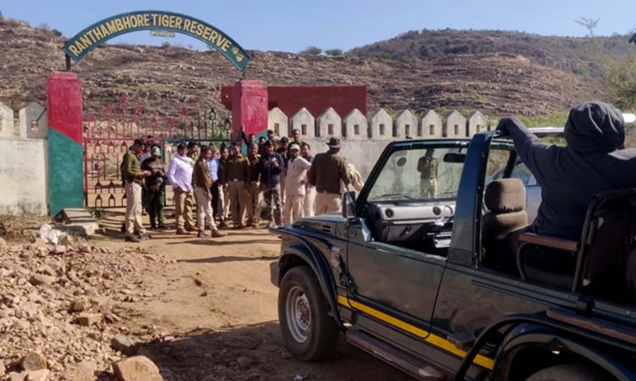 Forest personnel stopping tourist vehicles in Ranthambore