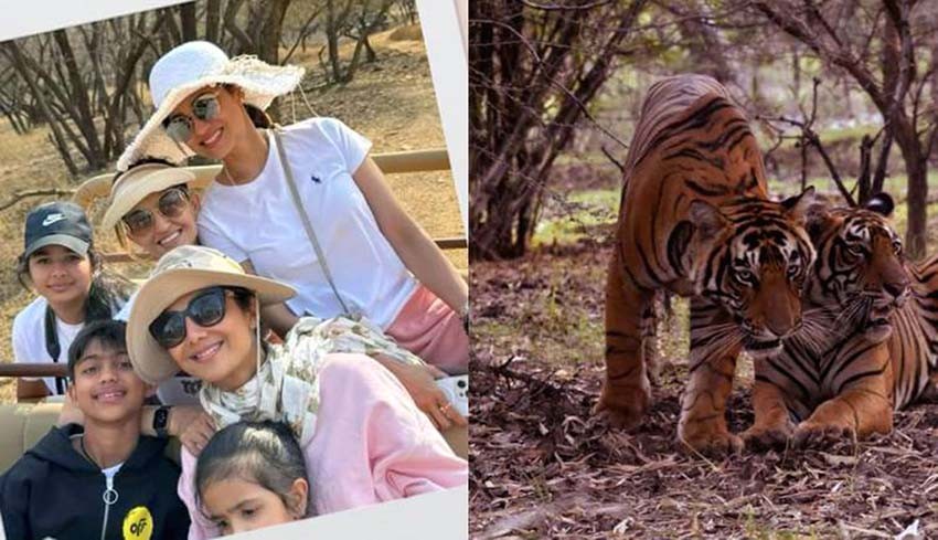 Shilpa-Shetty-visited-Ranthambore-National-Park