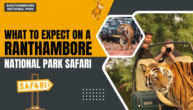 What to Expect on a Ranthambore National Park Safari?