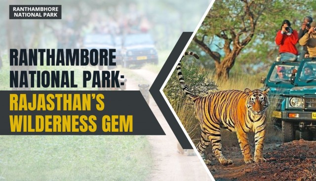 Ranthambore National Park: Rajasthan’s Wilderness Gem
