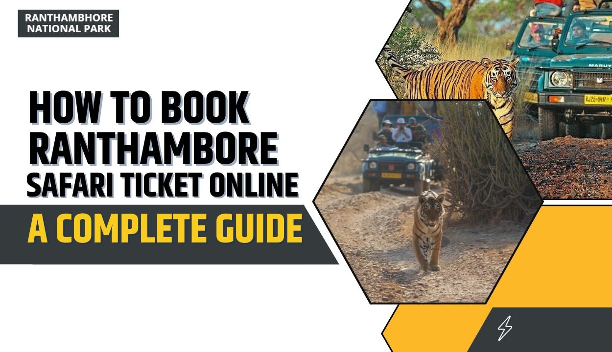How to Book Ranthambore Safari Ticket Online - A Complete Guide 
