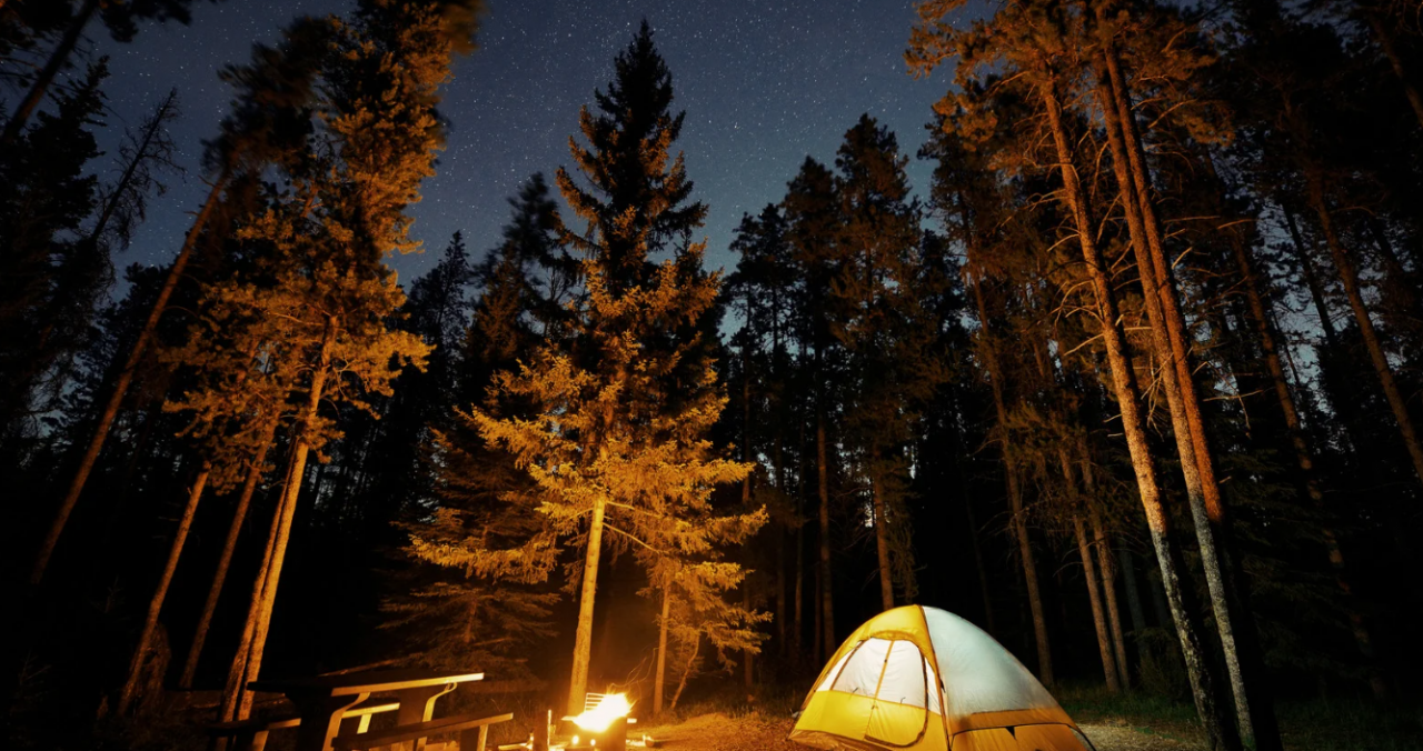 Camping in Ranthambore