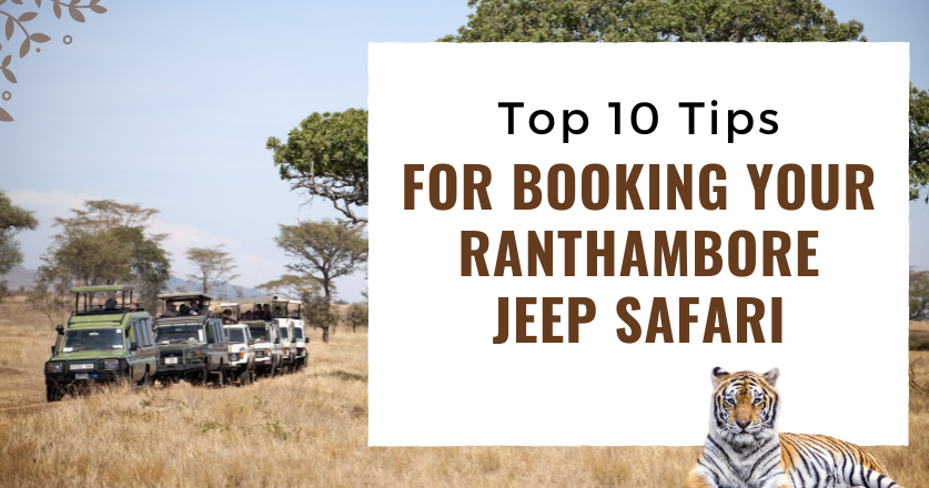 Top-10-Tips-for-Booking-Your-Ranthambore-Jeep-Safari