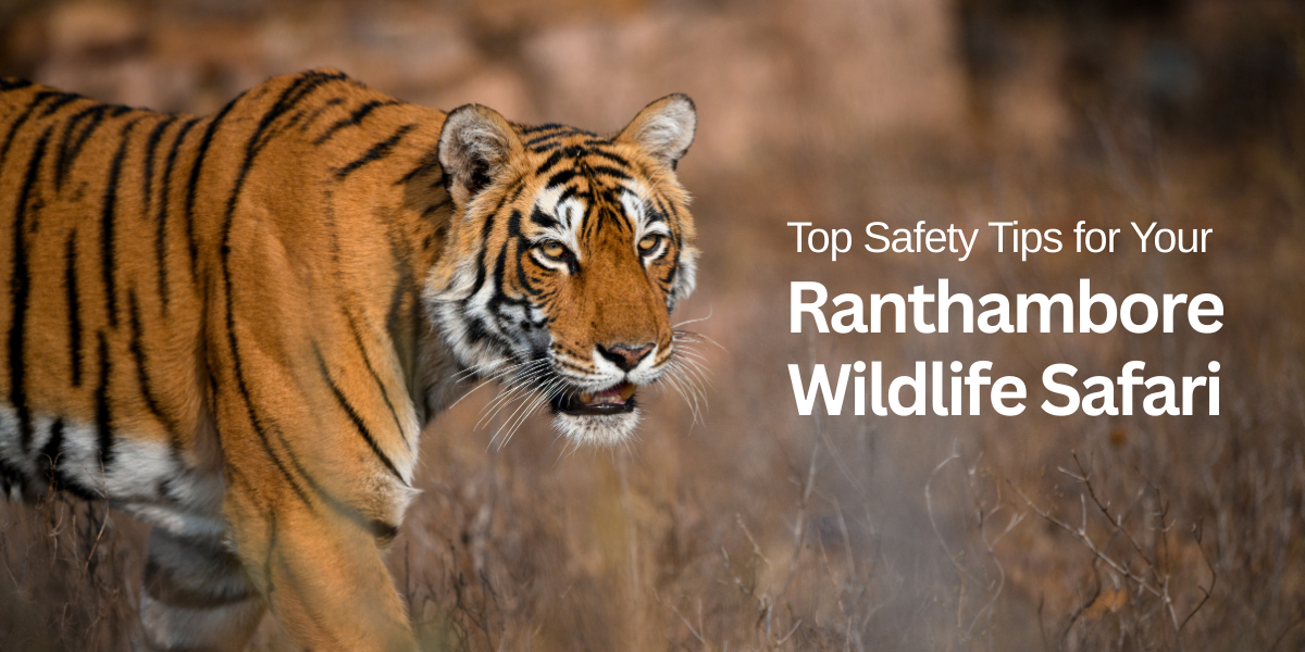 Top-Safety-Tips-for-Your-Ranthambore-Wildlife-Safari