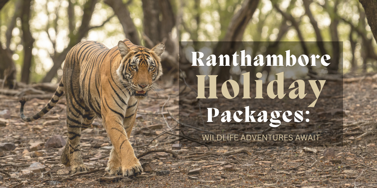 Ranthambore-Holiday-Packages-Wildlife-Adventures-Await