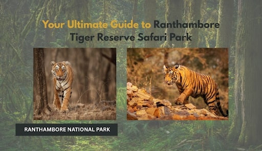 Your-Ultimate-Guide-to-Ranthambore-Tiger-Reserve-Safari-Park