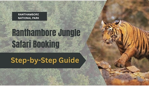 Step-by-Step-Guide-to-Ranthambore-Jungle-Safari-Bookin_20250510-113805_1