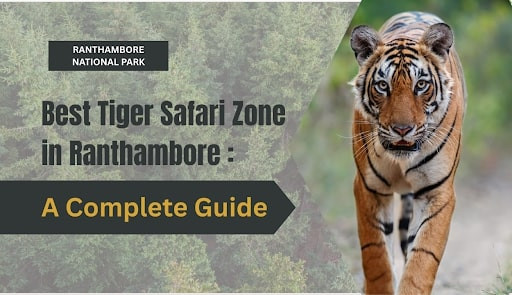 Best-Tiger-Safari-Zone-in-Ranthambore-A-Complete-Guid_20250510-113309_1