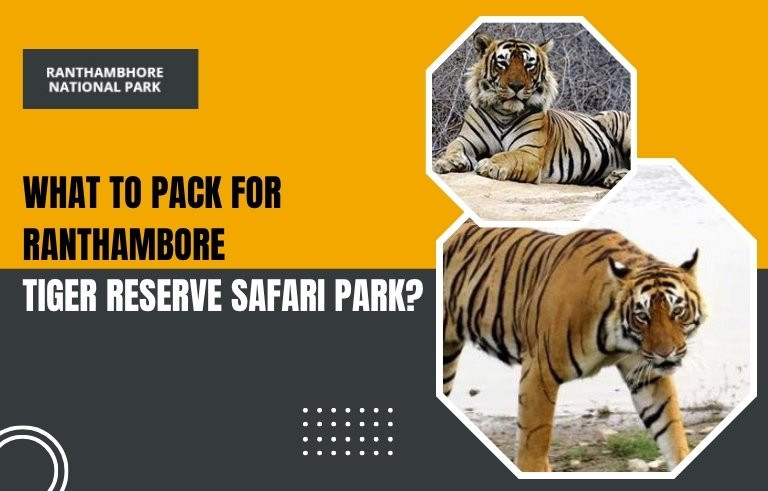 What-to-Pack-for-Ranthambore-Tiger-Reserve-Safari-Park
