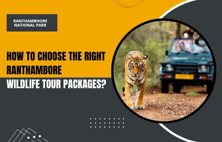 How-to-Choose-the-Right-Ranthambore--Wildlife-Tour-Package_20250626-065514_1