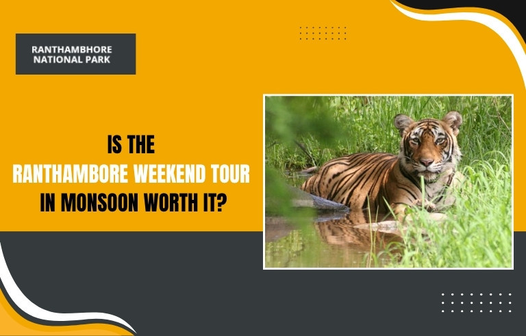 Is-the--Ranthambore-Weekend-Tour--in-Monsoon-Worth-I_20250805-062855_1