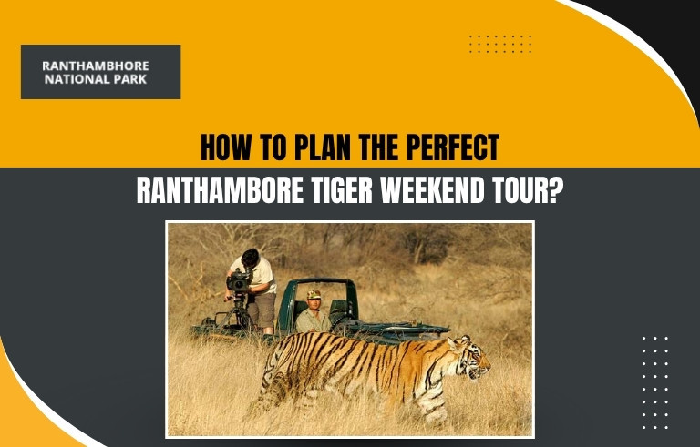 How-to-Plan-the-Perfect-Ranthambore-Tiger-Weekend-Tou_20250805-062637_1